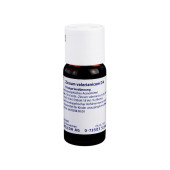 ZINCUM VALERIANICUM D 4 Dilution (PZN 2436285)