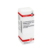SOLIDAGO VIRGAUREA D 12 Dilution (PZN 2931441)