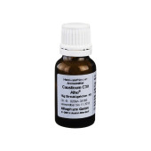 CAUSTICUM C 30 Globuli (PZN 2153067)