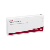 BAMBUSA E NODO D 6 Ampullen (PZN 2832638)