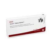 ISCUCIN salicis Stärke F Ampullen (PZN 3083541)