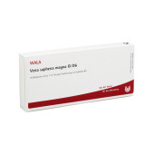 VENA SAPHENA magna GL D 6 Ampullen (PZN 3792415)