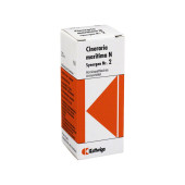 SYNERGON KOMPLEX 2 Cineraria maritima N Tropfen (PZN 4289061)