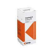 SYNERGON KOMPLEX 85 Sanguinaria N Tropfen (PZN 3633800)