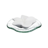 PRIMAVERA Duftstein Frangipani Glasteller transparent – PZN 3517761 (PZN 3517761)
