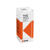 SYNERGON KOMPLEX 8 Oenanthe crocata N Tropfen (PZN 3633355)