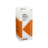 SYNERGON KOMPLEX 45 Acidum nitricum N Tropfen (PZN 3574747)