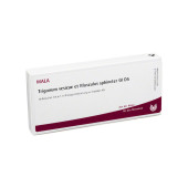 TRIGONUM vesicae et Musculus sphincter GL D 5 Amp. (PZN 3661110)