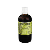 GYNOCASTUS (PZN 4591386)
