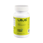 ULLUS Magenkapseln N (PZN 6306757)