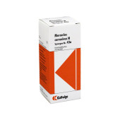 SYNERGON KOMPLEX 43a Mercurius corrosivus N Tropf. (PZN 4905608)