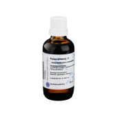 GINSENG Urtinktur D 1 Hanosan (PZN 7416092)