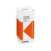 SYNERGON KOMPLEX 56 Fel Tauri N Tropfen (PZN 4905519)