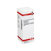 PETASITES D 6 Dilution (PZN 7176831)