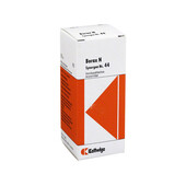 SYNERGON KOMPLEX 44 Borax N Tropfen (PZN 4905293)