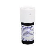 APIS MELLIFICA D 20 Dilution (PZN 7007287)