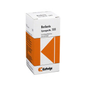 SYNERGON KOMPLEX 101 Berberis Tabletten (PZN 4905732)