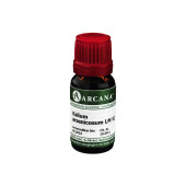 KALIUM ARSENICOSUM LM 6 Dilution (PZN 6921592)