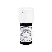 MERCURIUS CYANATUS D 6 Dilution (PZN 7060258)