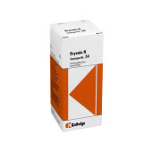 SYNERGON KOMPLEX 54 Bryonia N Tropfen (PZN 4905318)