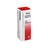 ARRHYTHMIE-Gastreu N R66 Mischung (PZN 4852303)