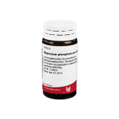 MAGNESIUM PHOSPHORICUM CUM cinere Avenae D 6 Glob. (PZN 8786595)