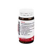 VISCUM ECHINACEA Globuli (PZN 8788602)