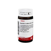 BRYONIA E radice D 4 Globuli (PZN 8784610)