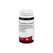 ATROPA belladonna e fructibus D 6 Globuli (PZN 8784047)