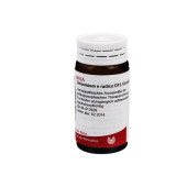 GELSEMIUM E radice D 12 Globuli (PZN 8785940)
