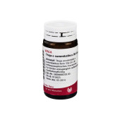 THUJA E SUMMITATIBUS D 6 Globuli (PZN 8788080)