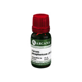 FERRUM PHOSPHORICUM LM 6 Dilution (PZN 7540478)