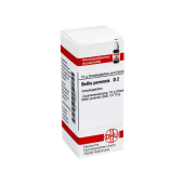 BELLIS PERENNIS D 2 Globuli (PZN 7455057)