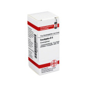 EUCALYPTUS D 6 Globuli (PZN 7595456)