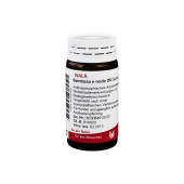 BAMBUSA E NODO D 6 Globuli (PZN 8784320)