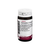COLOCYNTHIS E fructibus D 6 Globuli (PZN 8785383)