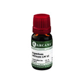 ARGENTUM NITRICUM LM 6 Dilution (PZN 7539251)