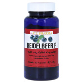 HEIDELBEER P 400 mg Kapseln (PZN 2454863)