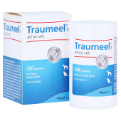 TRAUMEEL T ad us.vet.Tabletten (PZN 4055630)