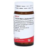 VISCUM MALI e planta tota D 2 Globuli (PZN 8788476)