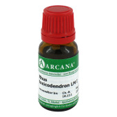 RHUS TOXICODENDRON LM 1 Dilution (PZN 13053506)