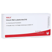 VISCUM MALI e planta tota D 10 Ampullen (PZN 3358529)