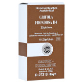 GRIFOLA frondosa D 4 Suppositorien (PZN 14058960)