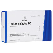 LEDUM PALUSTRE D 6 Ampullen (PZN 7055062)