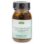 PINIENRINDENEXTRAKT Kapseln (PZN 12464549)