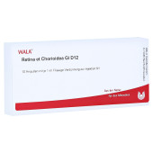 RETINA ET Chorioidea GL D 12 Ampullen (PZN 3354365)