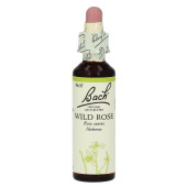 Bachbl√Љten Wild Rose Tropfen (PZN 170127)