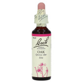 Bachbl√Љten Oak Tropfen (PZN 125902)