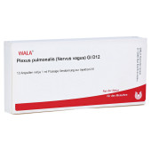 PLEXUS PULMONALIS Nervus vagus GL D 12 Ampullen (PZN 2952383)