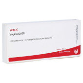 VAGINA GL D 5 Ampullen (PZN 3789502)